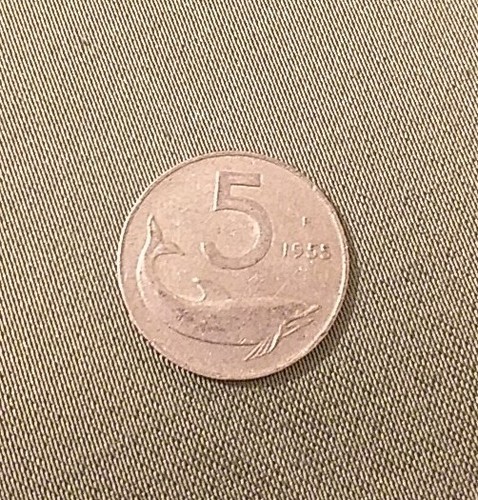 Moneta lire del - 1955, delfino